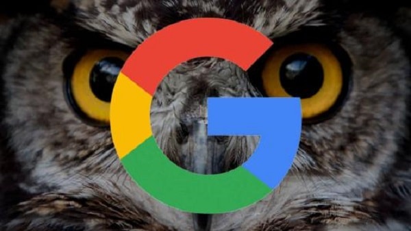 Google猫头鹰算法