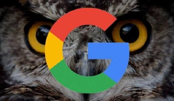Google更新猫头鹰算法-Project Owl