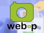 Nginx WordPress给图片开启Webp自动转换兼容方案