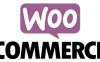 解决Woocommerce Secure checkout option被禁用报错