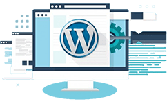 全栈运营技能-WordPress建站从入门到精通课程