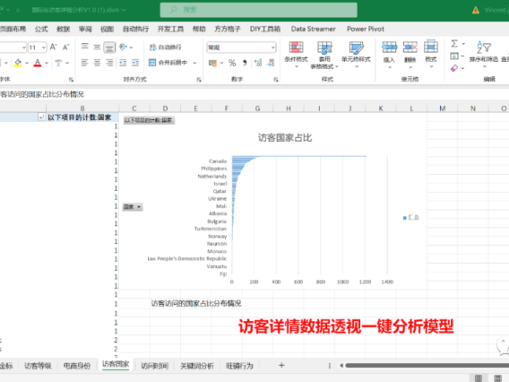 阿里国际站访客详情数据透视分析模型表