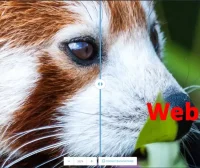 阿里国际站产品详情图片转码Webp格式的分析