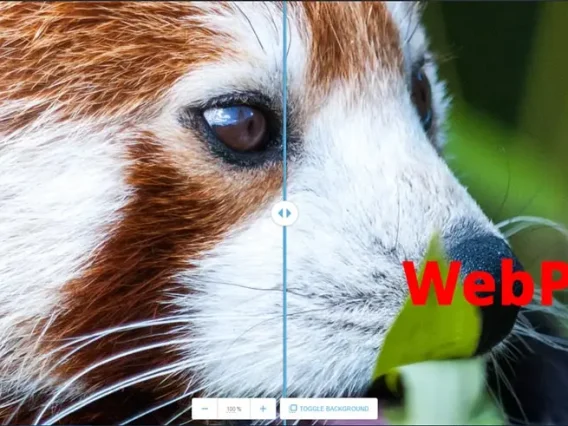 阿里国际站产品详情图片转码Webp格式的分析