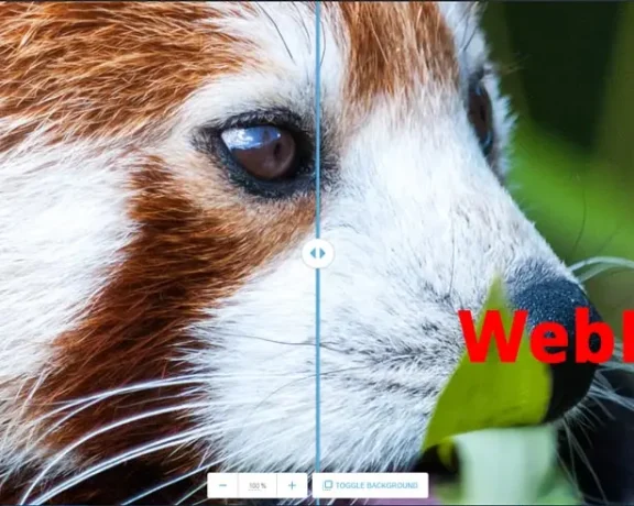 阿里国际站产品详情图片转码Webp格式的分析