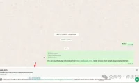 独立站添加WhatsApp图标并追踪来源页面url的源码