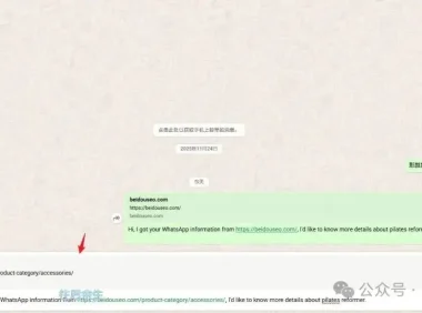 独立站添加WhatsApp图标并追踪来源页面url的源码